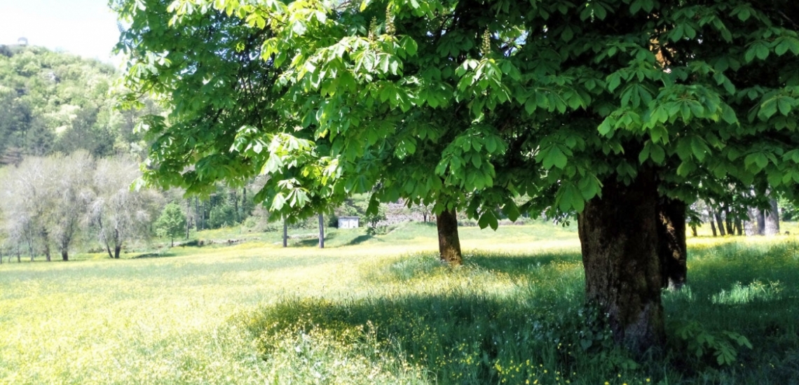 Park 13. Jul, Парк Тринадцатого июля в Цетине