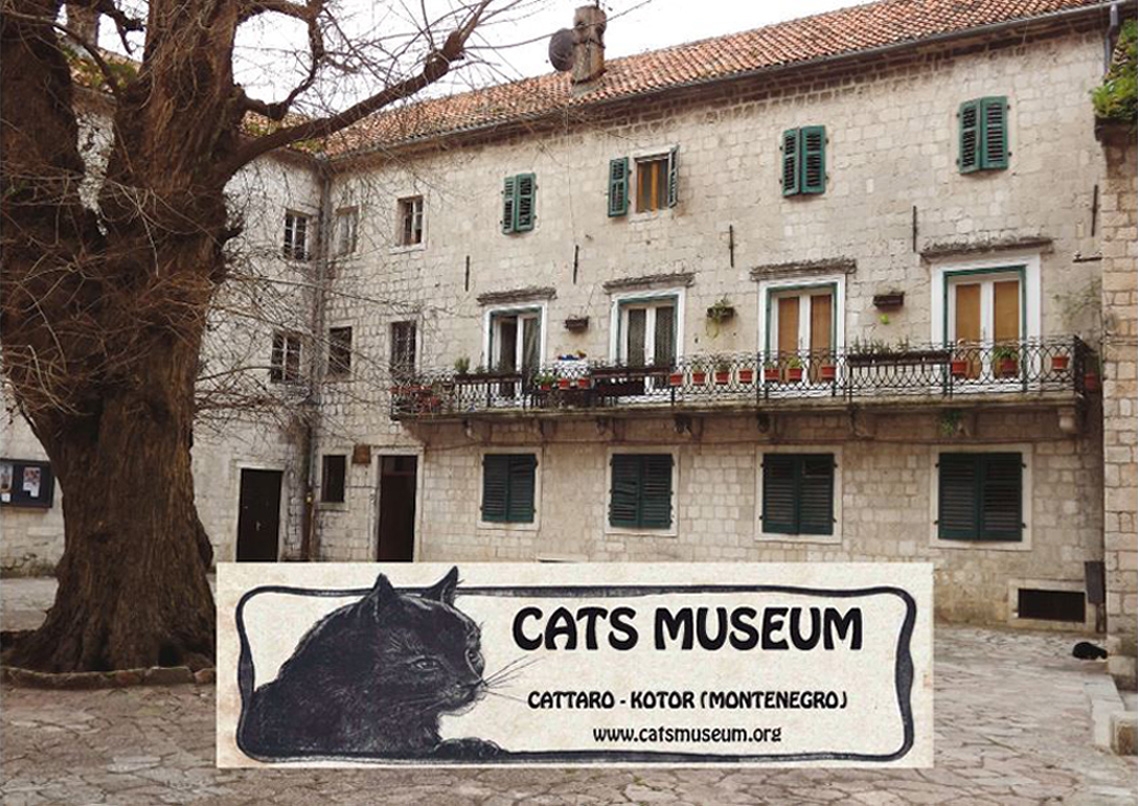 Kotor Municipality, Cats Museum 