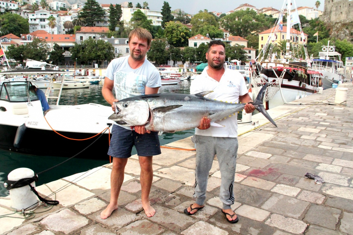 Big Game Fishing championship, Herceg Novi, Montenegro