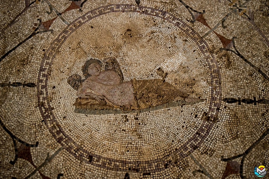Kotor Municipality, Rimski Mozaici Risan / Roman Mosaics in Risan